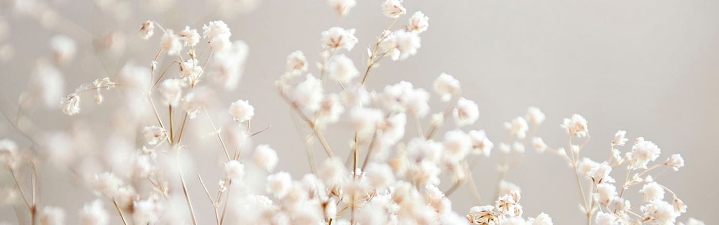 予約、施術、サロンについてよくある質問をまとめてあります。