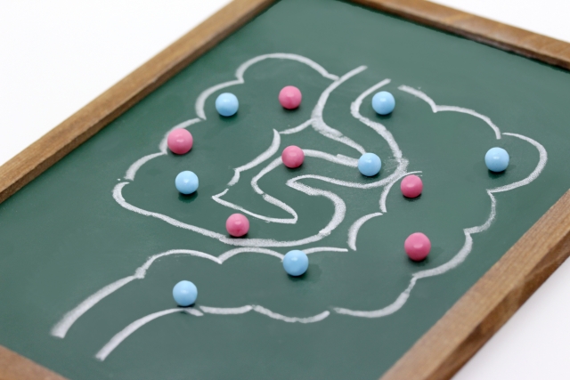 キレイをつくるバランス腸活